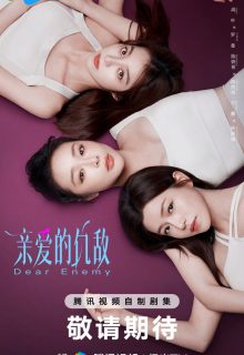 Dear Enemy (2025)