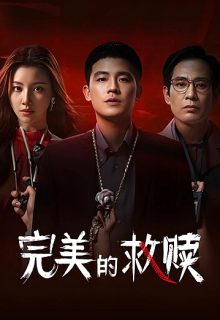 The Perfect Suspect (2025)