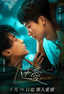 Revenged Love (2025)