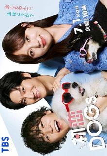 Love Is for the Dogs (2025)